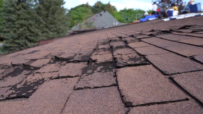 Best 4 Ply Roofing  in East Rancho Dominguez, CA