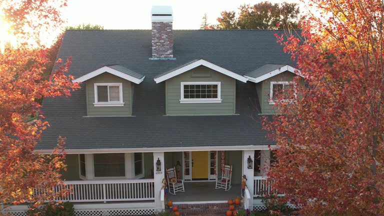 Best Roof Moss and Algae Removal  in East Rancho Dominguez, CA