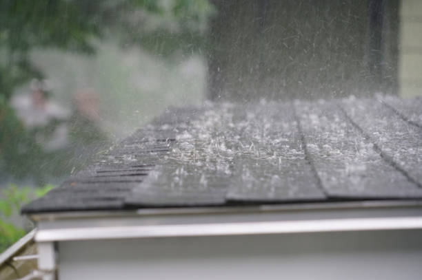Best Roof Installation  in East Rancho Dominguez, CA