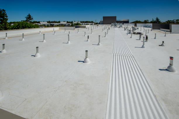 Best Metal Roofing Installation  in East Rancho Dominguez, CA